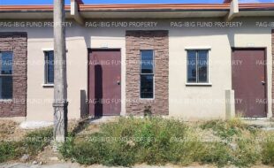 fil4020240118009