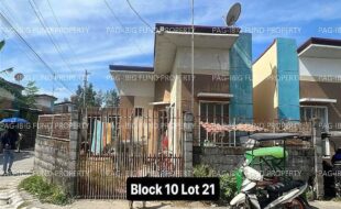 fil4020240119009