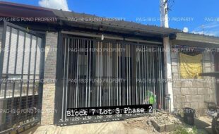 fil4020240212005