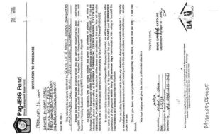 fil4020240220012
