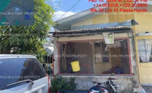 fil4020240220052