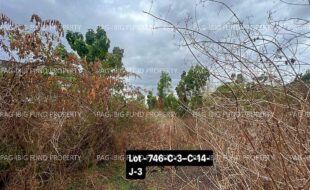 fil4020240411015