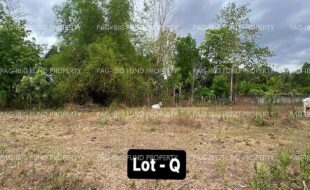 fil4020240411036