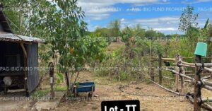 Pag-IBIG ROPA # 804119061700167 - Lot TT & UU NON-SUBDIVISION KALIKID SUR, CABANATUAN CITY, NUEVA ECIJA, 3111 - Negotiated Sale on Jul. 6, 2026 - Jul. 10, 2026