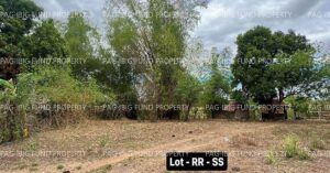 Pag-IBIG ROPA # 804119063000142 - Lot SS & RR NON-SUBDIVISION KALIKID SUR, CABANATUAN CITY, NUEVA ECIJA, 3100 - Negotiated Sale on Jul. 6, 2026 - Jul. 10, 2026