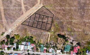 fil4020240422031