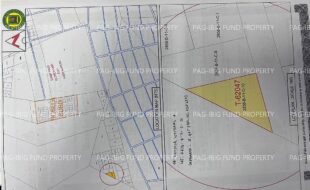 fil4020240422048