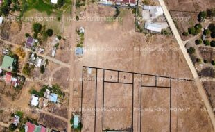 fil4020240422056