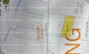 fil4020240502062
