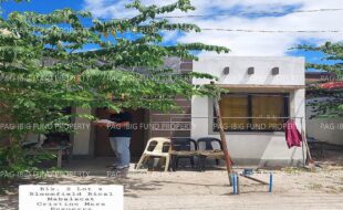fil4020240507016