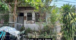 Pag-IBIG ROPA # 842202312120005 - Lot 3 Blk. 11 SUBIC HILLS VILLAGE ANINGWAY SACATIHAN, SUBIC, ZAMBALES, 2209 - Negotiated Sale on Jul. 6, 2026 - Jul. 10, 2026
