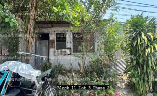 fil4020240521090