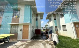 fil4020240603029