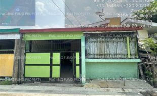 fil4020240610042