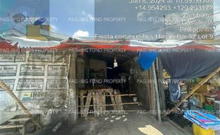 fil4020240610045
