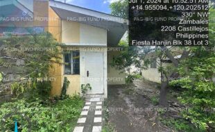fil4020240702050