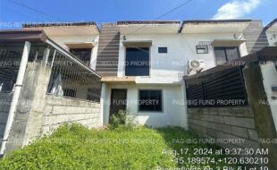 fil4020240820029