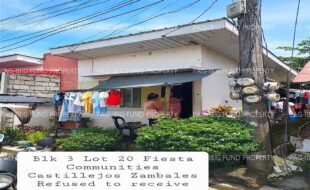 fil4020240827027