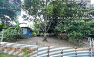 fil4020240905101