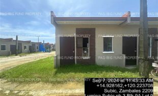 fil4020240909142