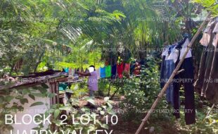 fil4020240926334