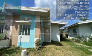 fil4020241007268