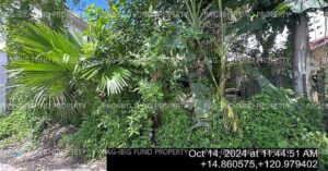 Pag-IBIG ROPA # 841202312190009 - Lot 25 Blk. 14 BRIGHT HOMES BULUCAN MEADOWS CAY POMBO, SANTA MARIA, BULACAN, 3022 - 2nd Public Auction on Jul. 6, 2026 - Jul. 10, 2026