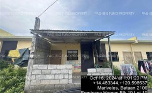 fil4020241017029