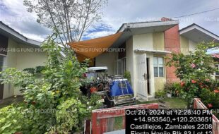 fil4020241022007