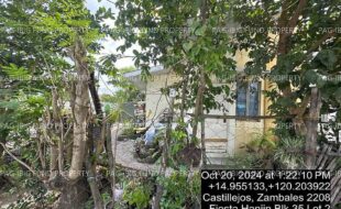 fil4020241022016