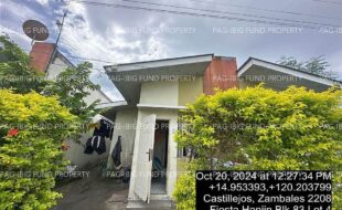 fil4020241022032