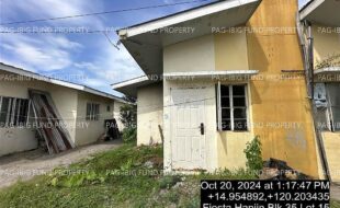 fil4020241022038