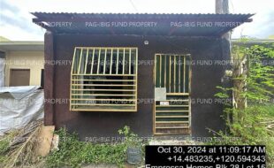 fil4020241031100