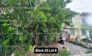 fil4020241111095