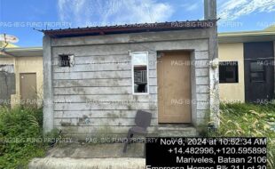 fil4020241111166