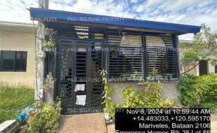fil4020241111227