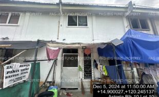 fil4020241206012