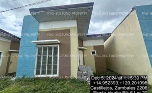fil4020241210019
