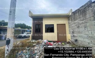 fil4020241223010