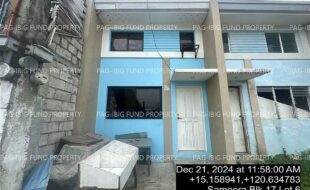 fil4020241223025