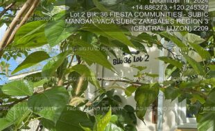 fil4020250103021