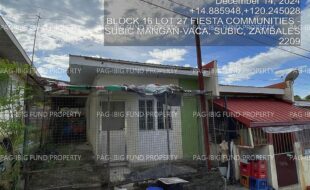 fil4020250103025