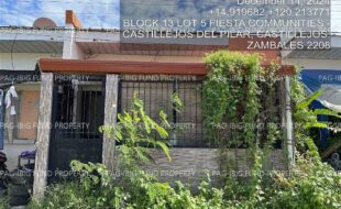 fil4020250103028