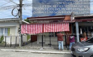 fil4020250106057