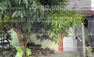 fil4020250106069