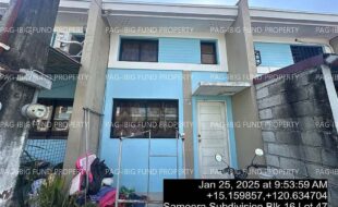fil4020250128054