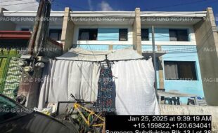 fil4020250128084