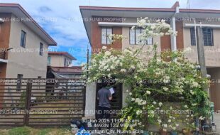 fil4020250206054
