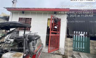 fil4020250212020