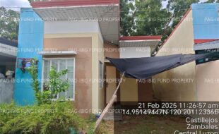 fil4020250224073